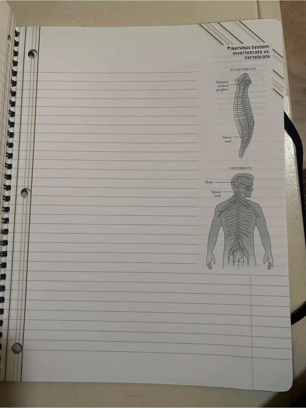 SparkNotes 101 Biology Notebook - - Picture 3 of 3